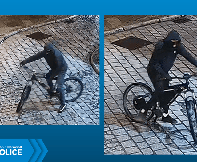 Museum theft: Can you help police?