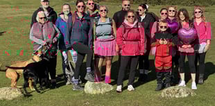 George’s Army marches for hospice charity