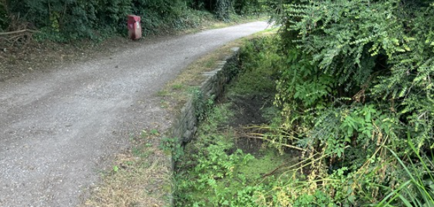 The leat at Vicary's Field Community Gardens, Bradley Lane