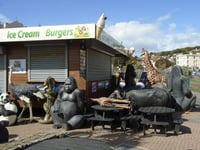 Pandemonium in Dawlish: Panda Escapes