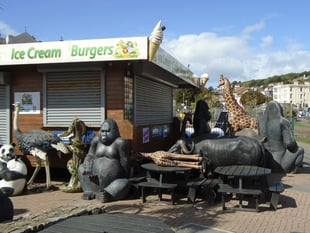 Pandemonium in Dawlish: Panda Escapes