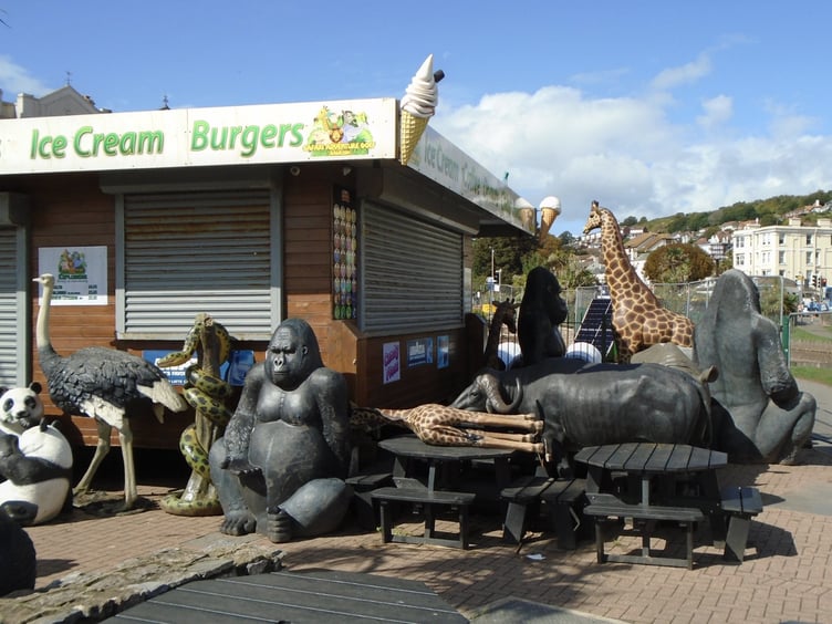Safari animals at the cray golf in Dawlish. Photo Colin Homewood