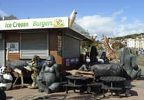 Pandemonium in Dawlish as Panda Escapes