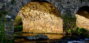 Dartmoor rivers are at risk 