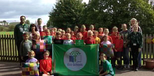 Primary school achieves coveted green flag