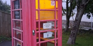 Vandalism forces closure of phone box library
