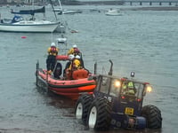 Wild swimmer prompts lifeboat shout