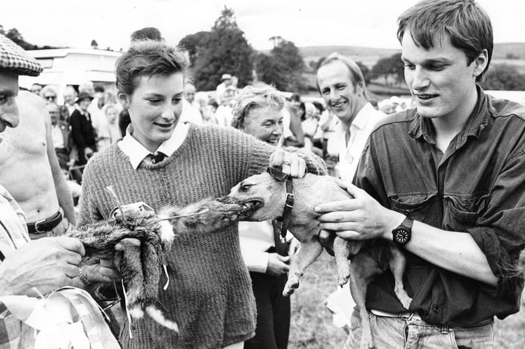 Terrier racing at Widecombe Fair in 1987. Martin and Alison Whitley with Tarka the terrier