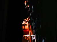 Teignmouth born musician dies