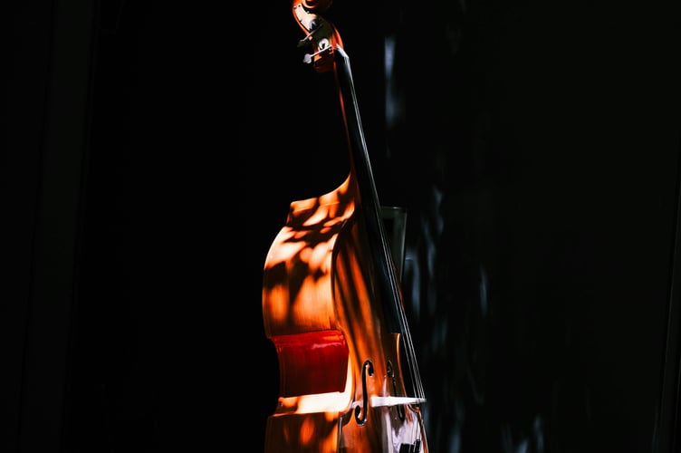 Double bass in sunlight