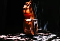 Teignmouth born musician dies