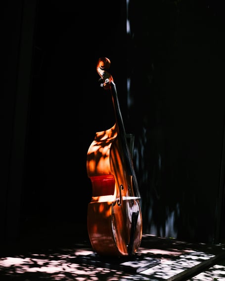 Double bass in sunlight