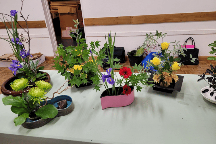 Newton Abbot Flower Club