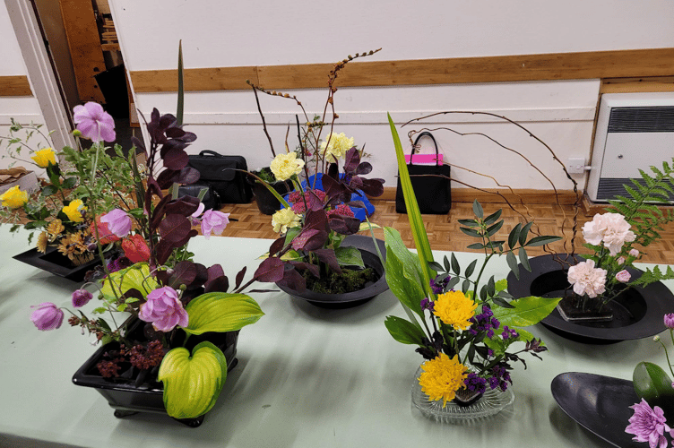 Newton Abbot Flower Club