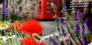 Ringing in the seeds of change

