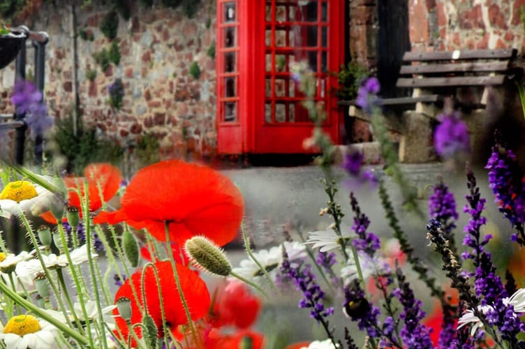 The red phone box on Fore Street will become a seed swap