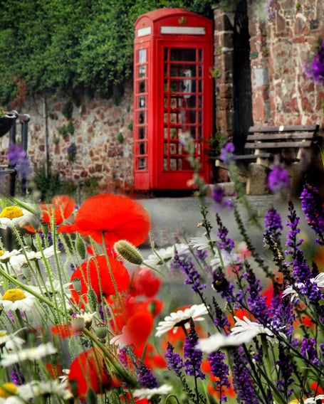 The red phone box on Fore Street will become a seed swap
