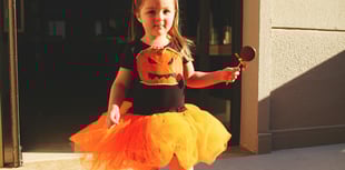 Devon libraries host Halloween costume swap