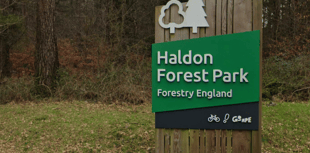 Haldon Forest Park celebrates 20th anniversary