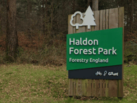 Haldon Forest Park celebrates 20th anniversary