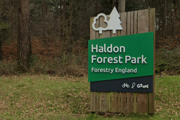 Haldon Forest Park