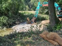 Weir removal improves fish access to Lemon