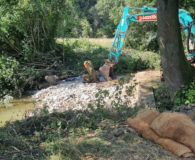 Weir removal improves fish access to Lemon