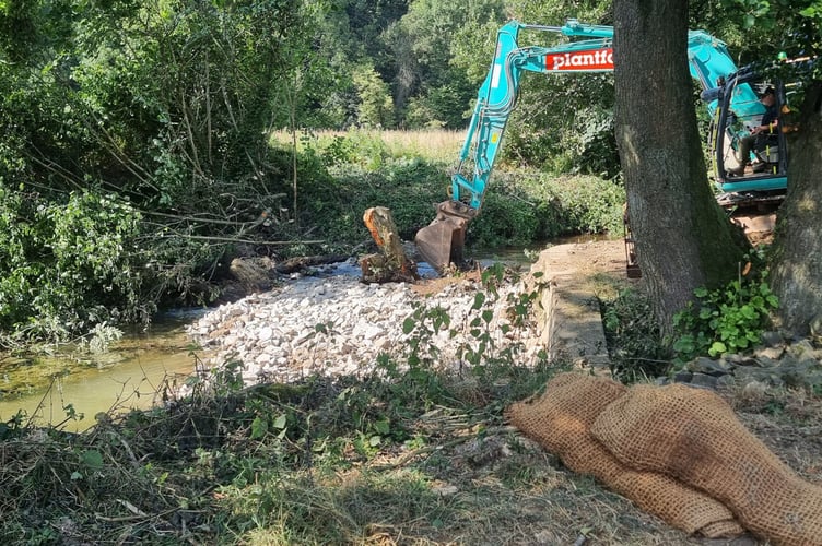 The removal of Chipley Mill Weir means fish can move freely up and down the River Lemon