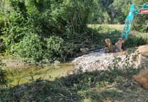 Weir removal improves fish access to Lemon