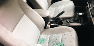 Fewer thefts from vehicles this year compared to year prior 