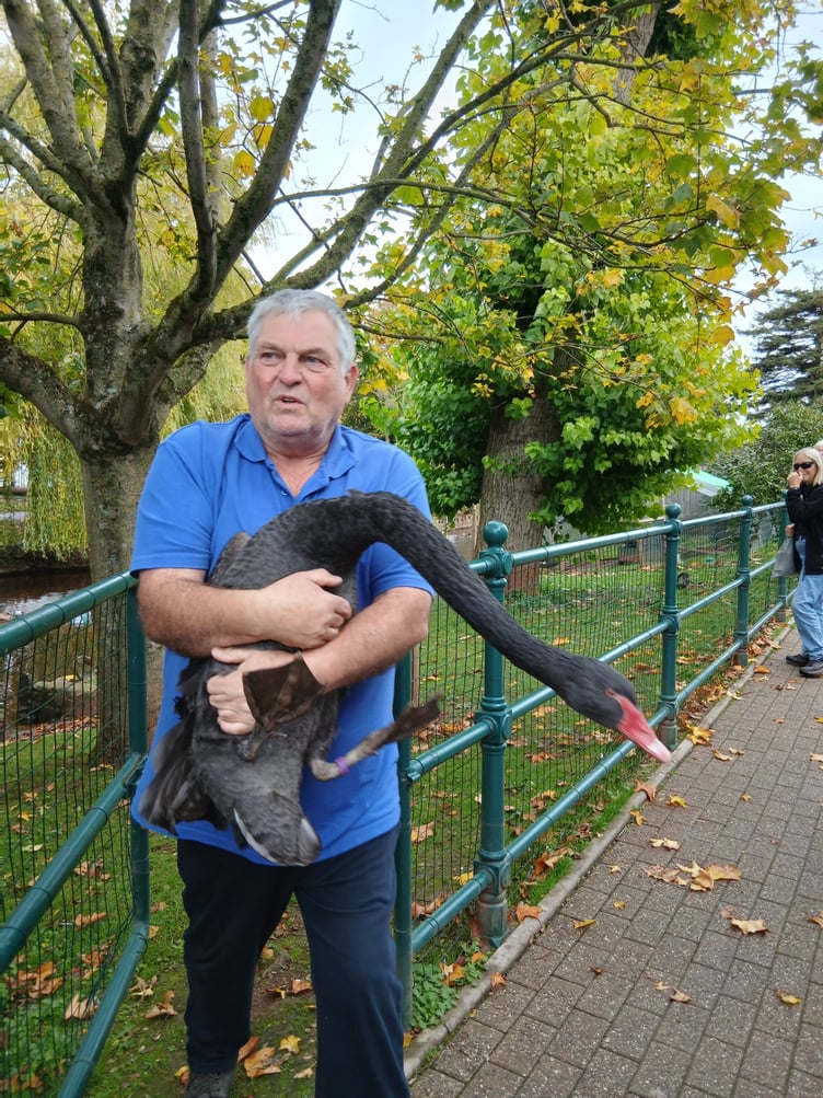 Waterfowl warden Don Phillips with Reggie. Photo Molly Atkin