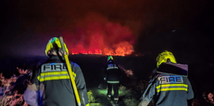 Fire crews tackle large blaze near Rippon Tor