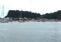 Join Teignbridge's Coastline Conservation Forum