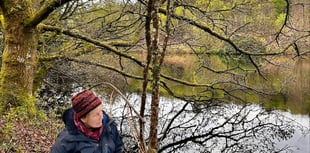 Lucy Patrick's art exhibition aids crisis