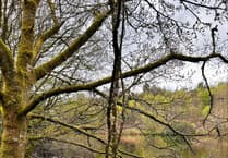 Support crisis aid at Lucy Patrick's Exhibition