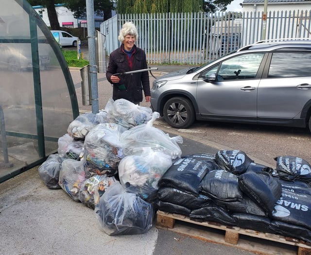 Volunteers clear litter from River Teign