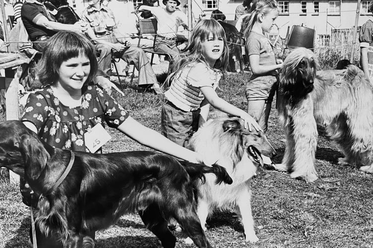Dog show at Kingsteignton Carnival Fayre from September 1977