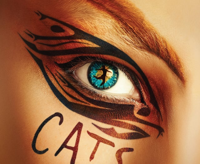 This purrfect musical really is the cat's whiskers