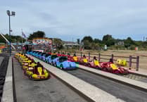 Return of stolen Dawlish go karts sought