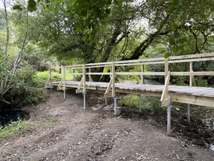 Stover Canal footbridge restored by volunteers