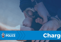 Three arrested in Torquay for criminal offences over the weekend