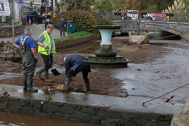 Dawlish volunteers protect swan nest