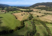 More green space in Newton Abbot than English average