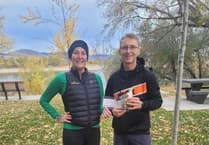 Teignmouth gulls spread their wings