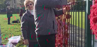 Dawlish Poppy Wall Tribute