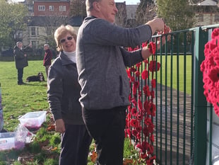 Dawlish Poppy Wall Tribute
