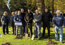 1,000 crocuses planted at Torbay Hospital