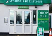 Support Animals at Ipplepen This Christmas