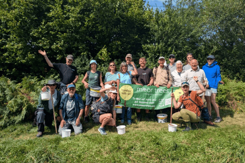 Moor Trees