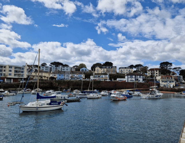 ‘Pizzazz’ missing from vision of town’s future